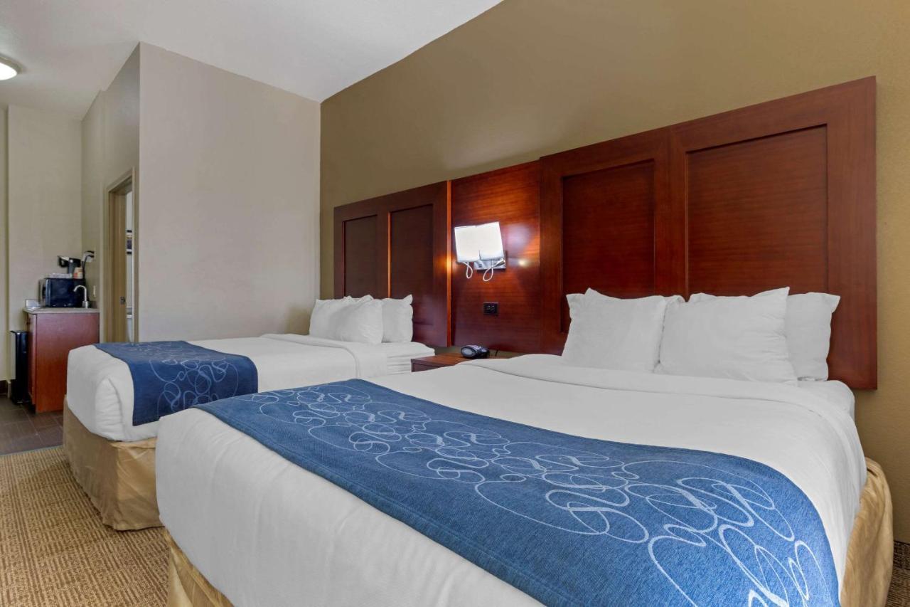 Comfort Suites Гейнсвил Екстериор снимка